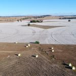 Cotton Irrigation Macquarie Valley Australia 5