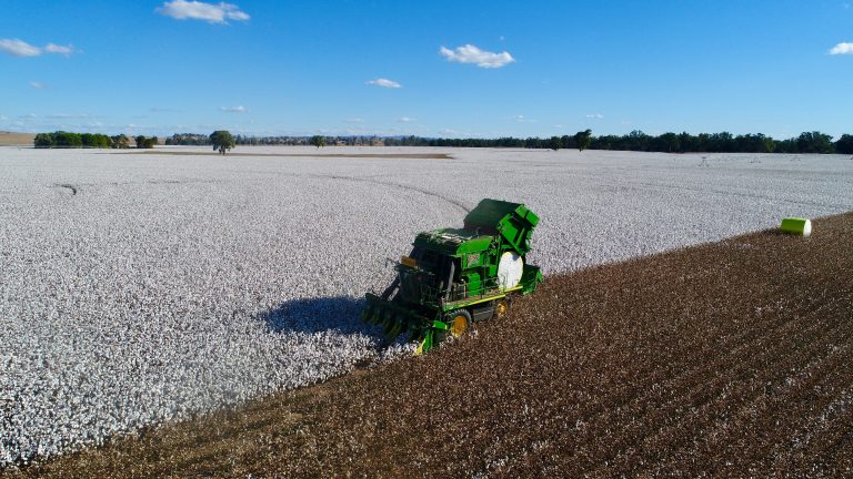 Cotton Irrigation Macquarie Valley Australia